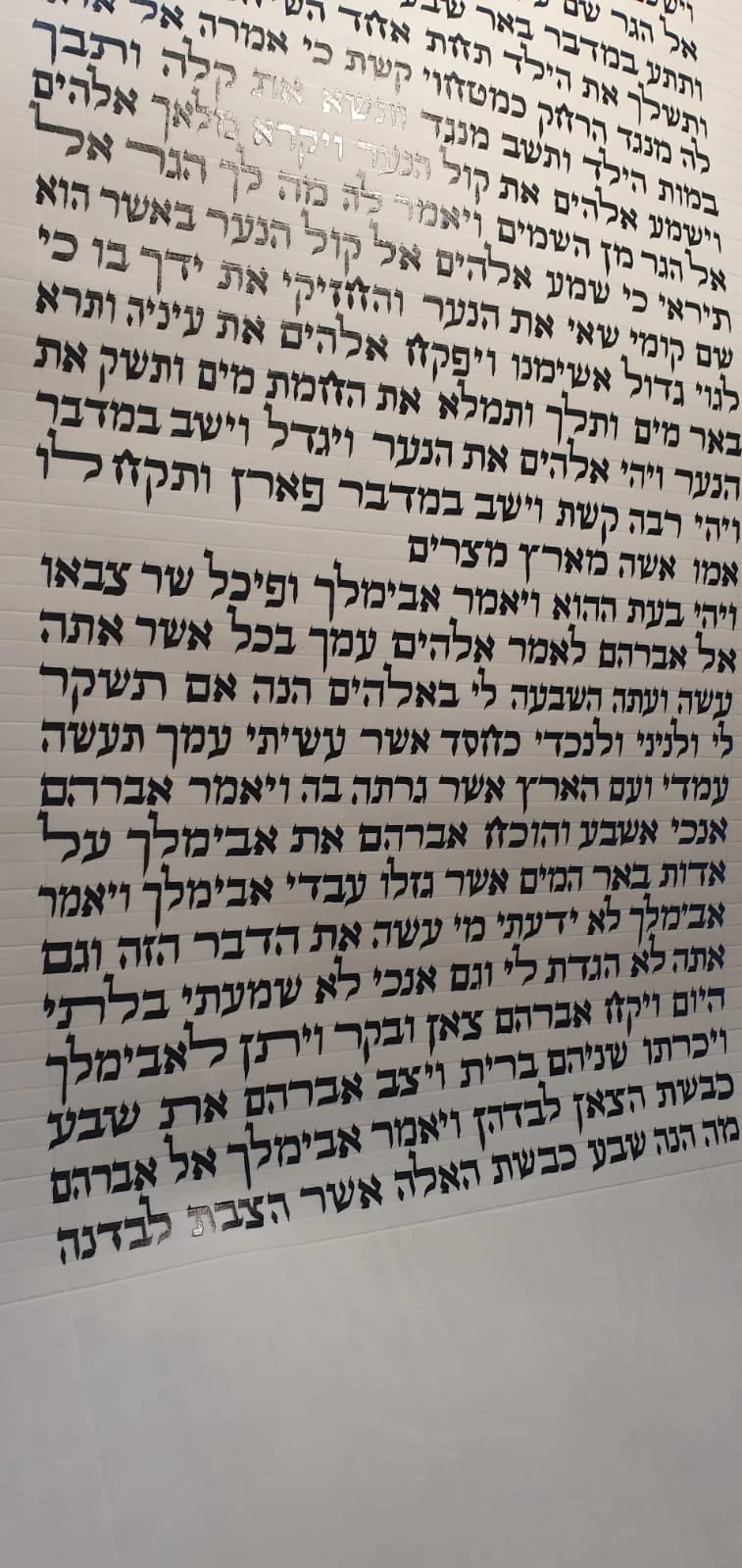Sefer Torah 8