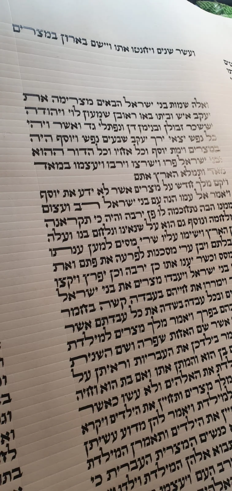 Sefer Torah 9